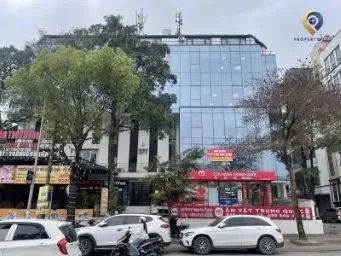 24 Mạc Thái Tông Building